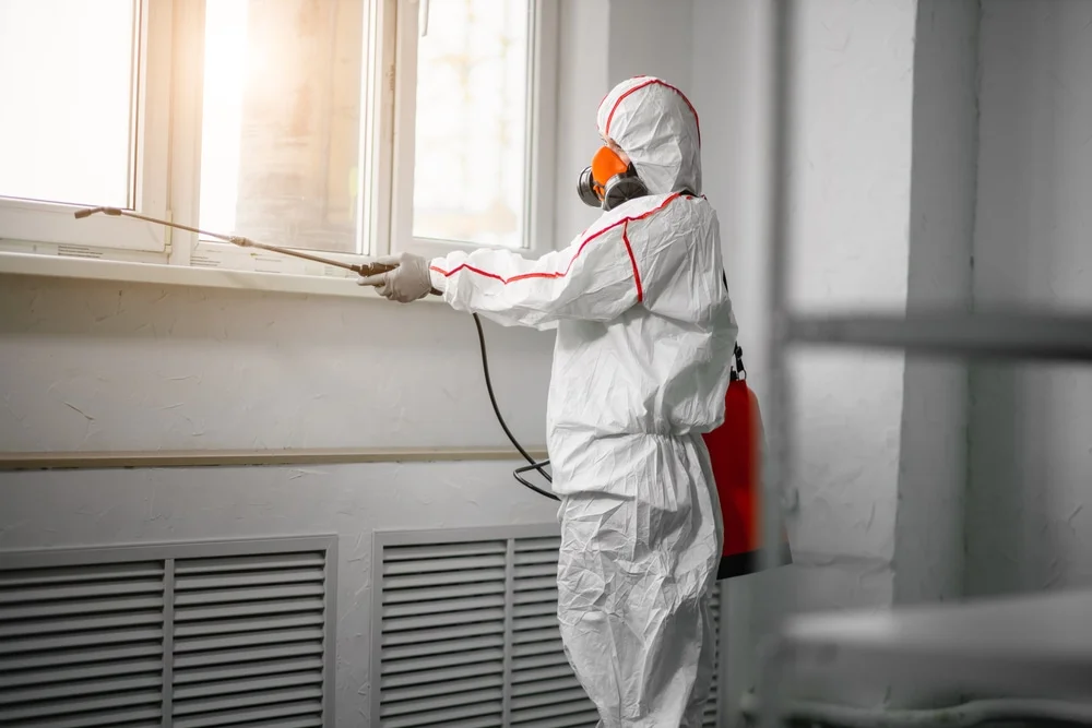 Professional mold remediation services in Olney, MD